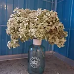 Ilguciema Lejlighed *