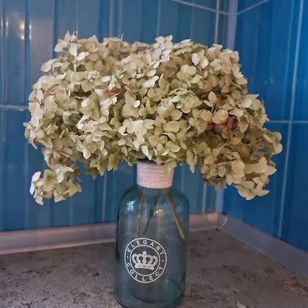 Ilguciema Apartment *