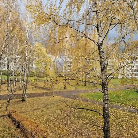 Ilguciema Apartment Riga