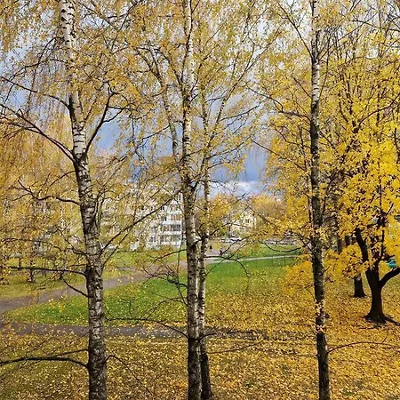 Ilguciema * Riga